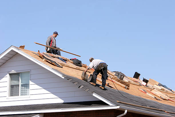 Best Skylight Installation and Repair  in East Cleveland, OH